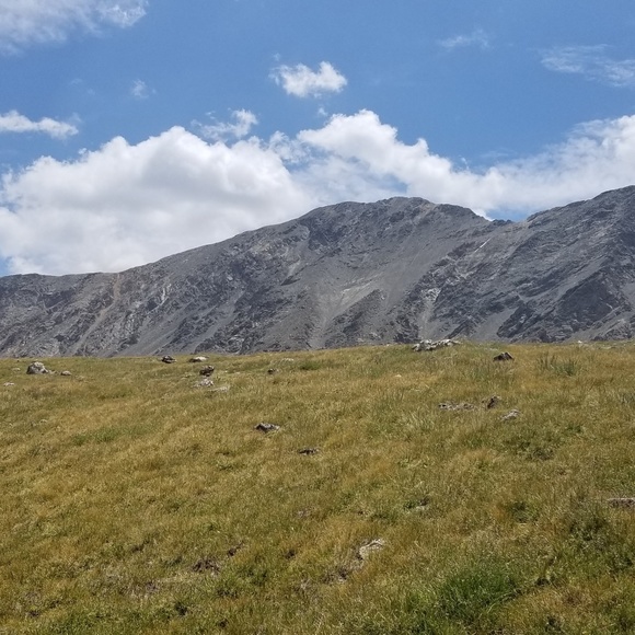 Mile High Moda ~ Fashion from the Mile High City of Denver - Picture 4 of 8